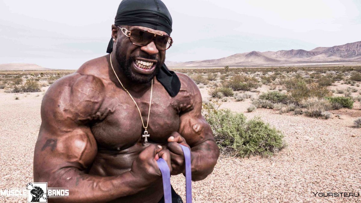Kali muscle рост