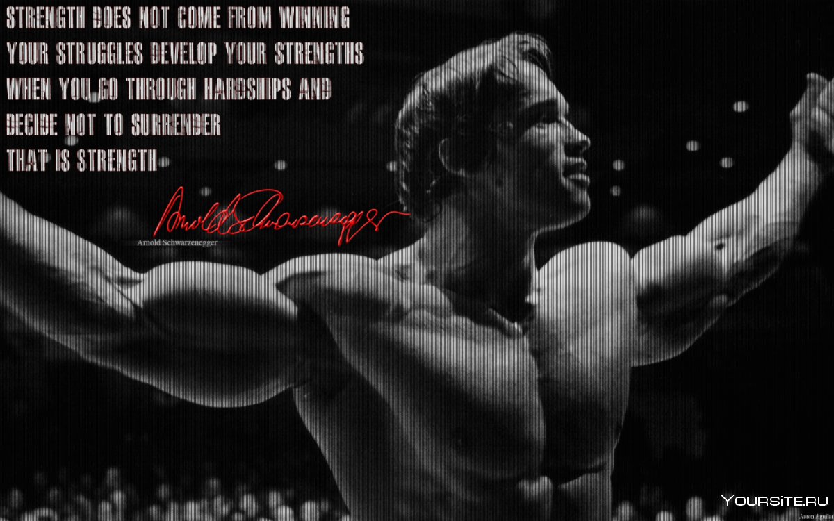 Conquer Arnold Schwarzenegger