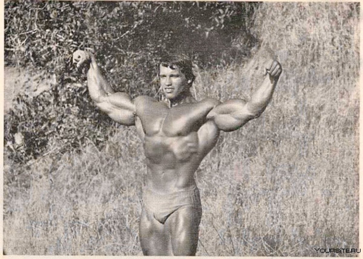 Arnold Schwarzenegger в костюме