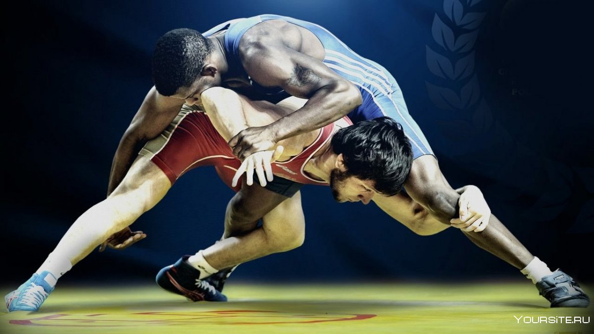 Спорт греко Римская борьба