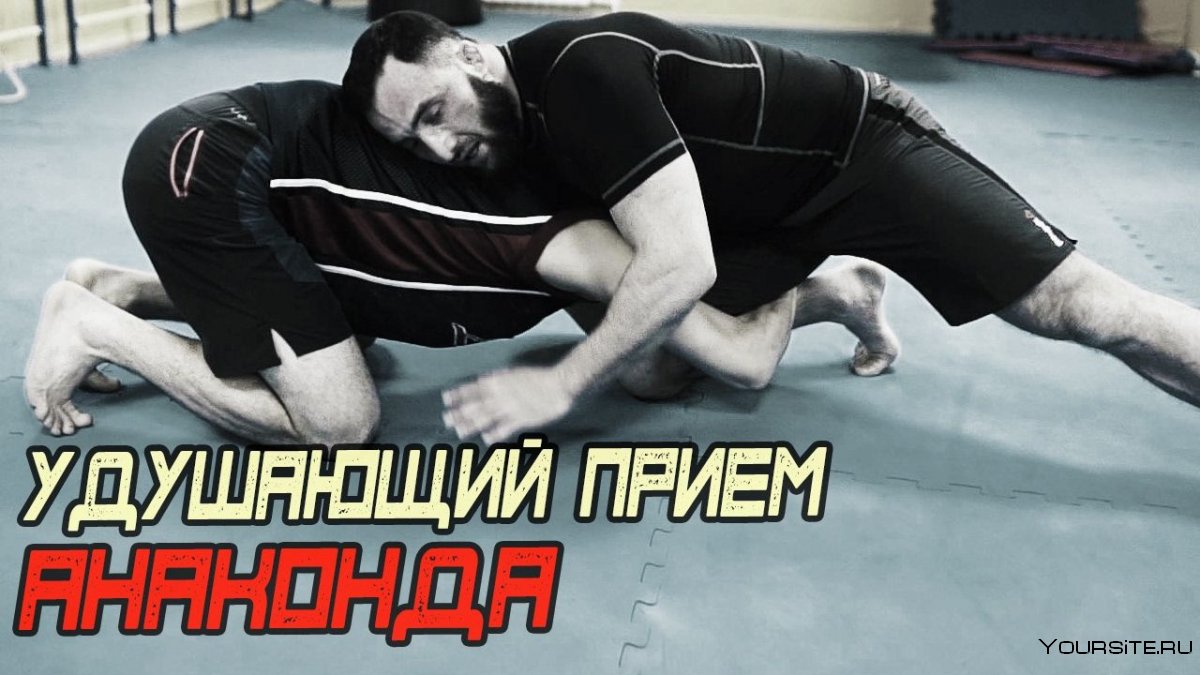 Анаконда болевой прием