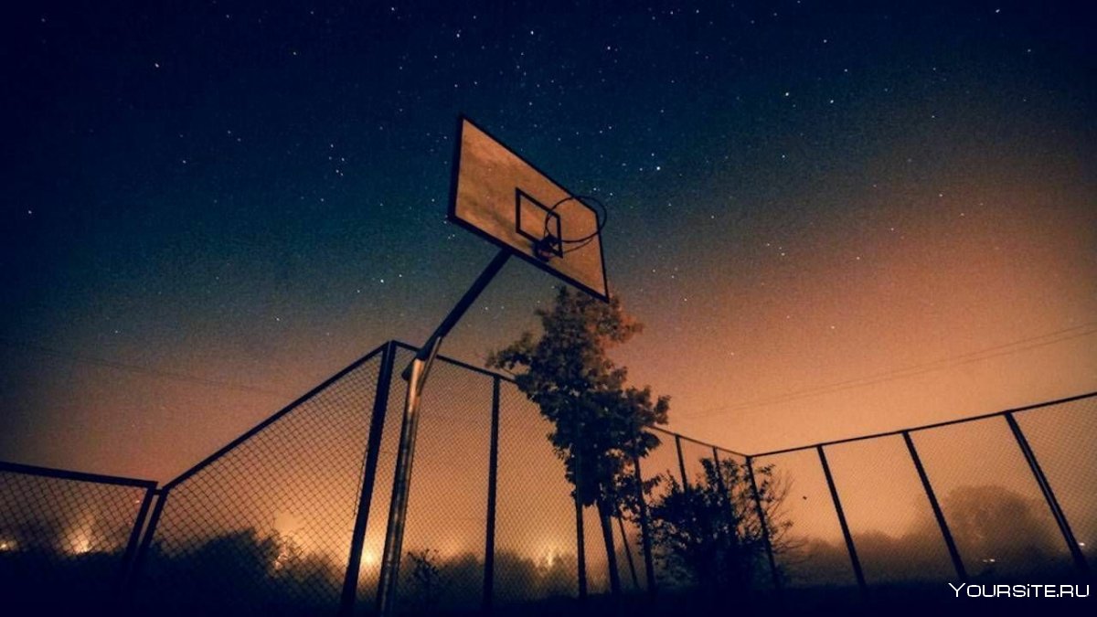 Ходынка баскетбольная площадка