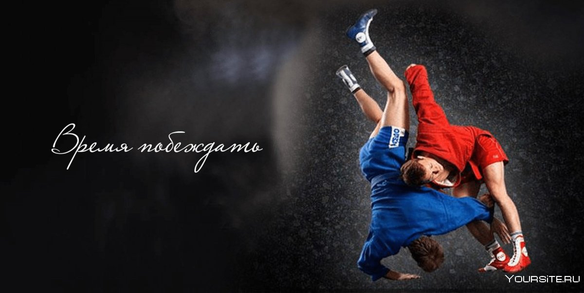 Judo бросок