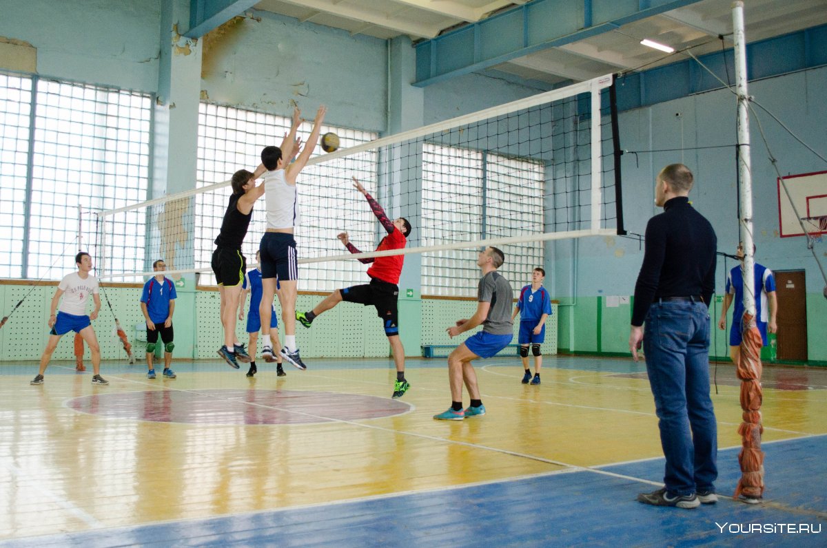 Волейбол в спортивном зале