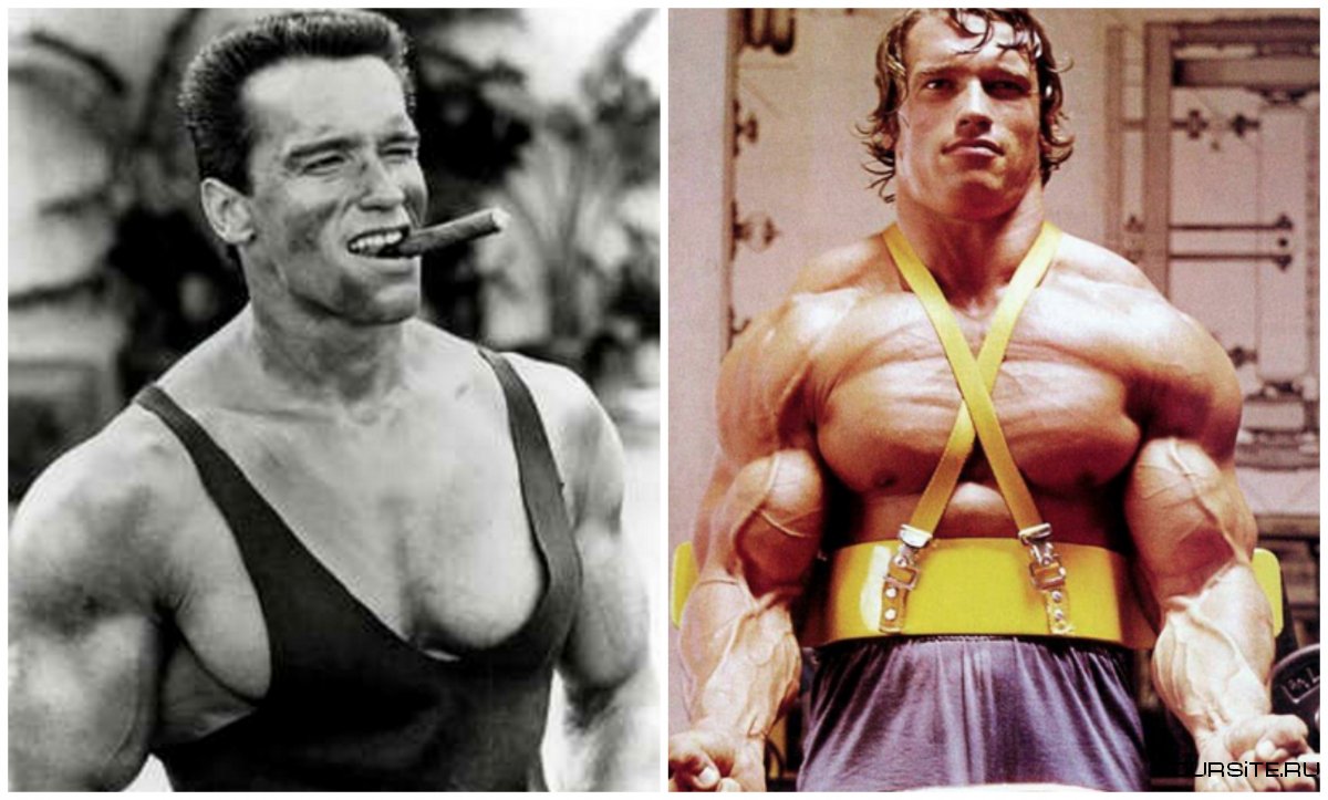 Arnold Schwarzenegger before
