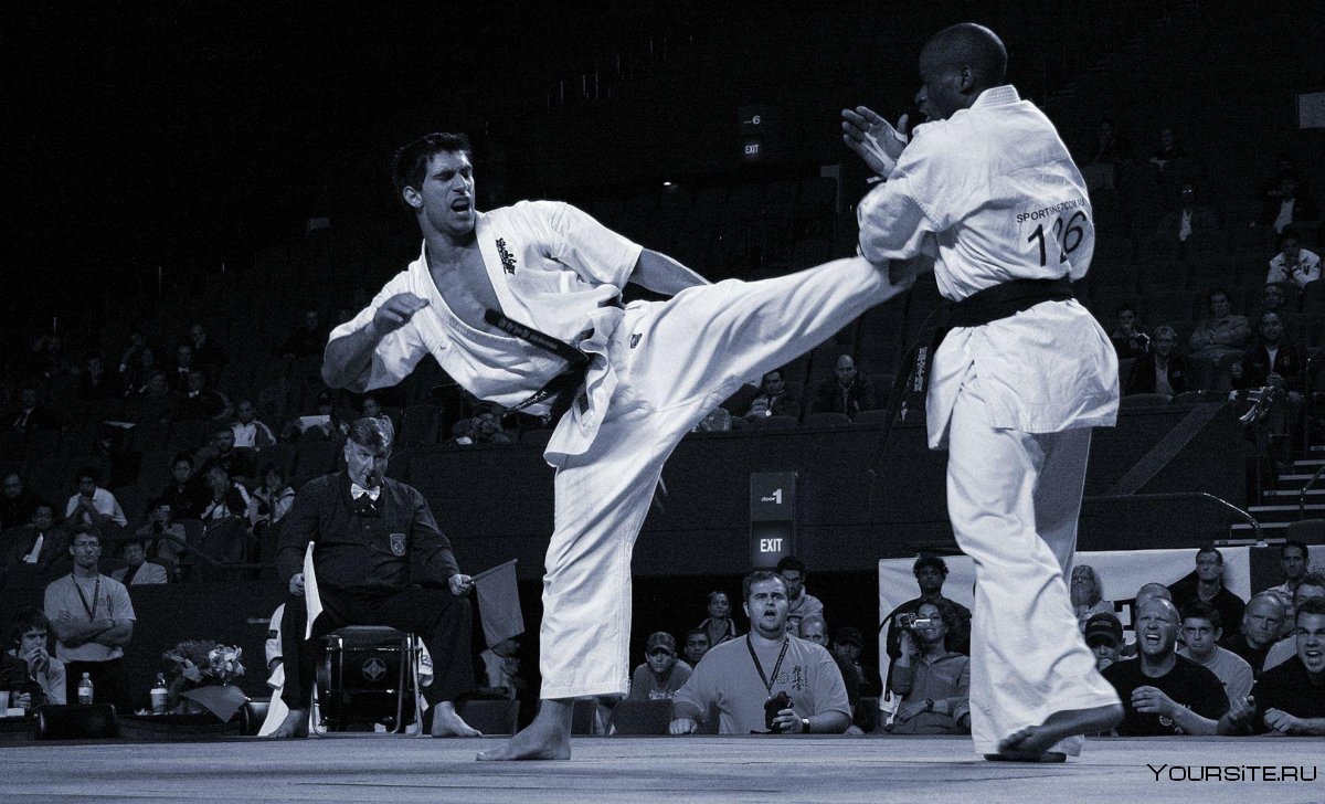 Kyokushin Karate надпись