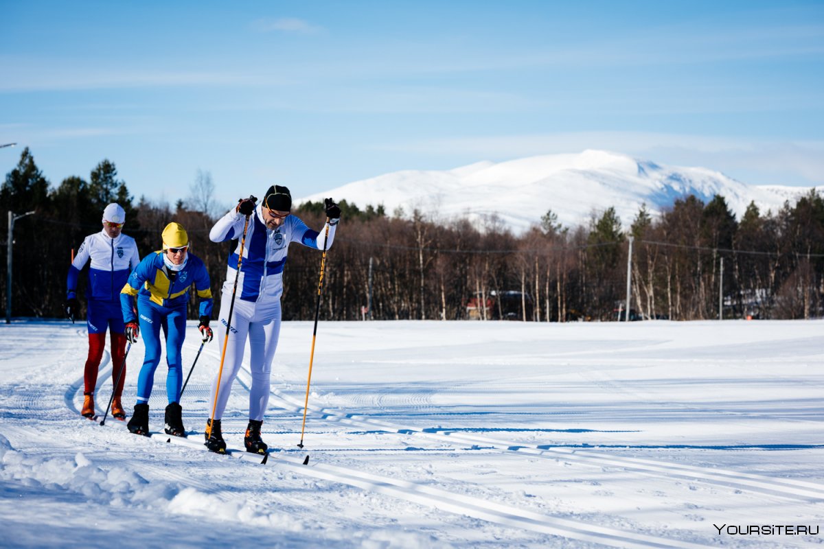 Современный лыжный спорт