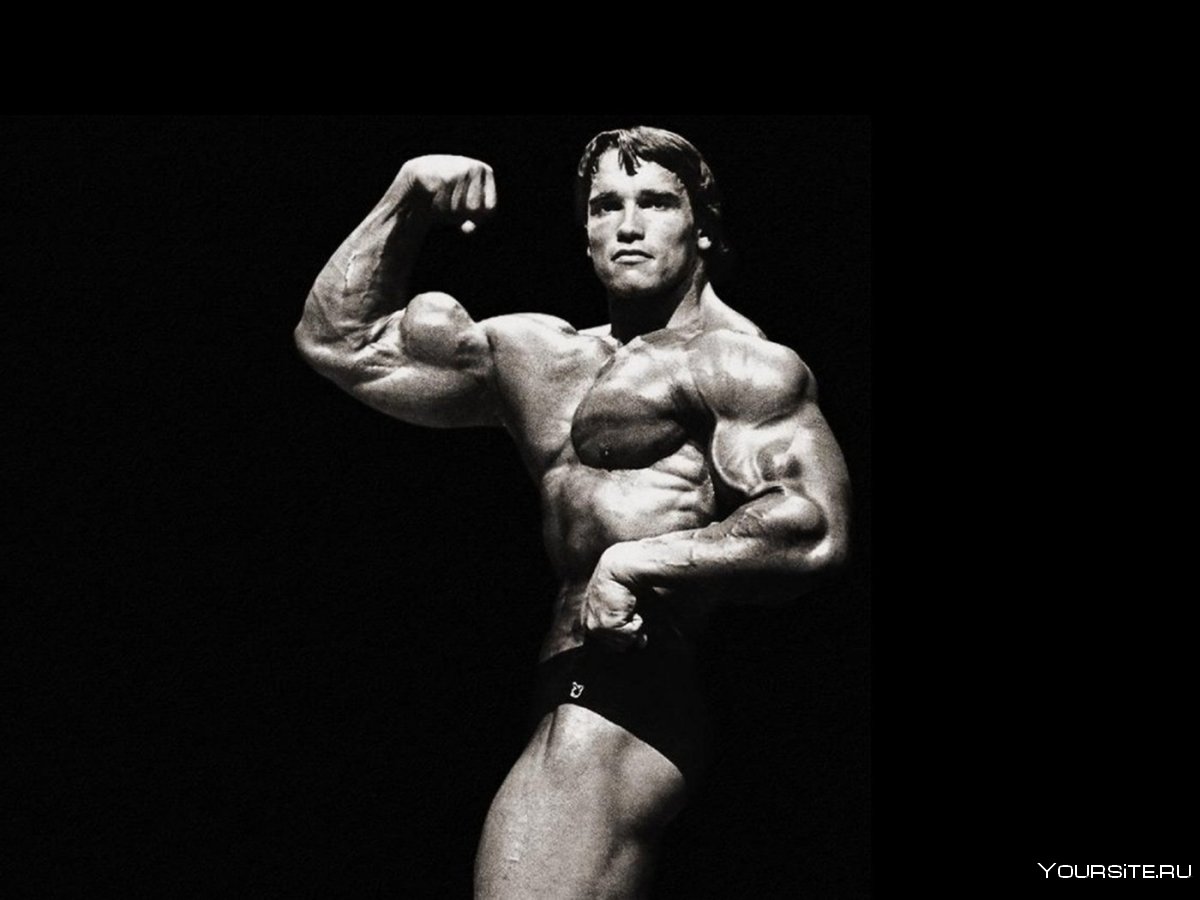 Джей Катлер (Jay Cutler)