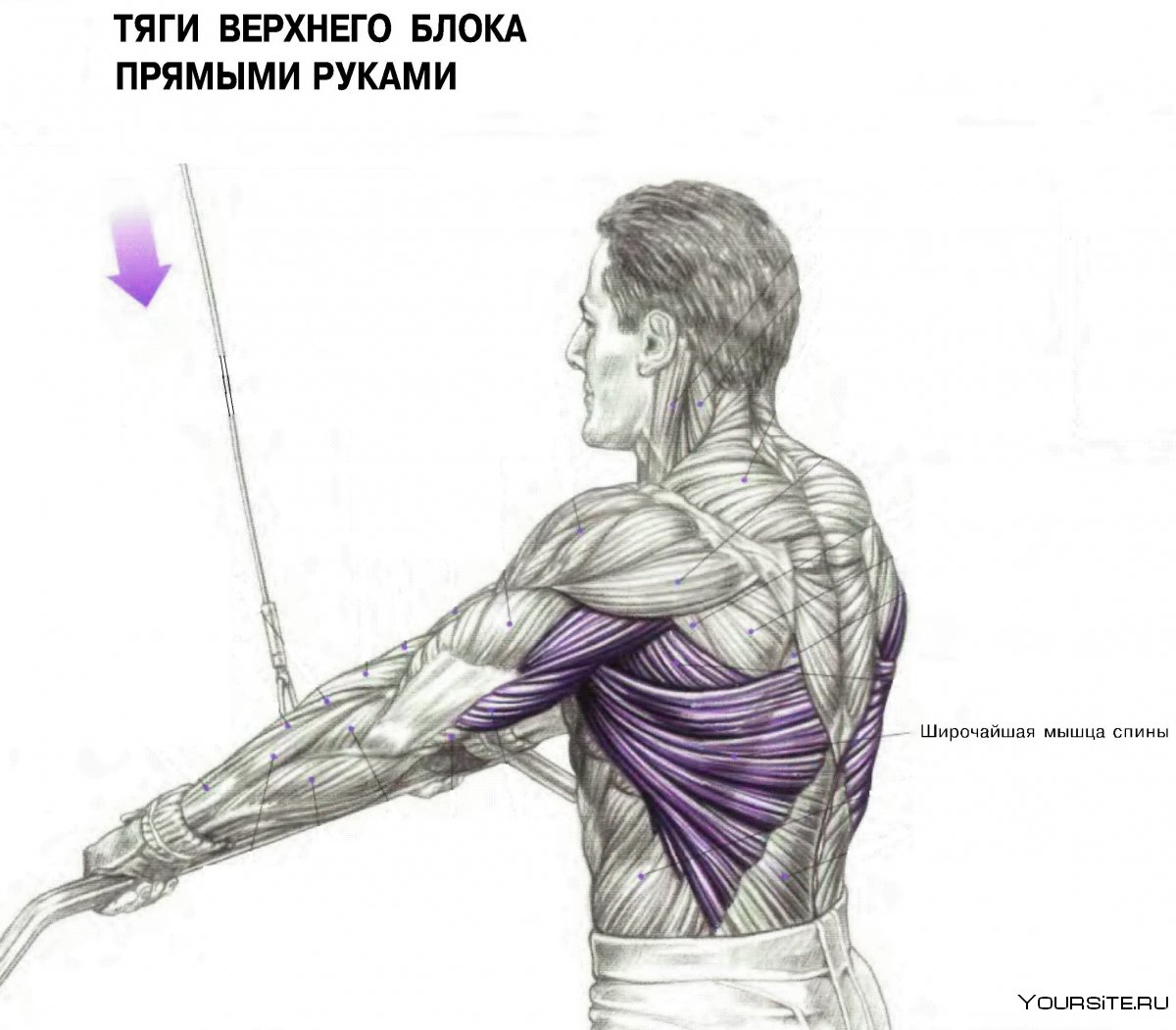Тяга широким хватом к грудной клетке