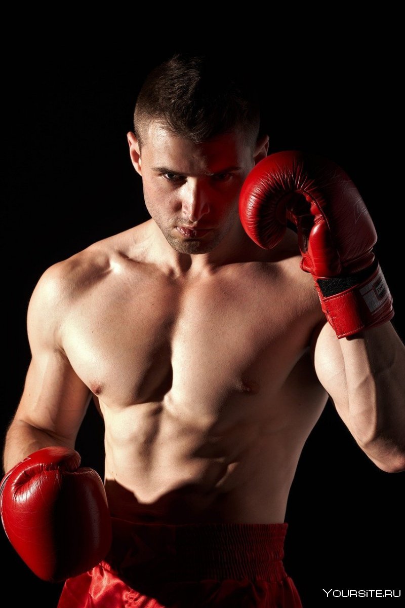 Красивые боксеры мужчины