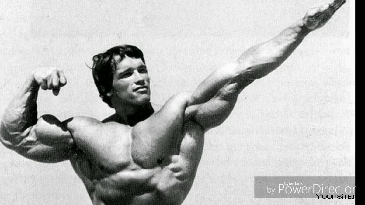 Арнольд Шварценеггер в молодости тренировки