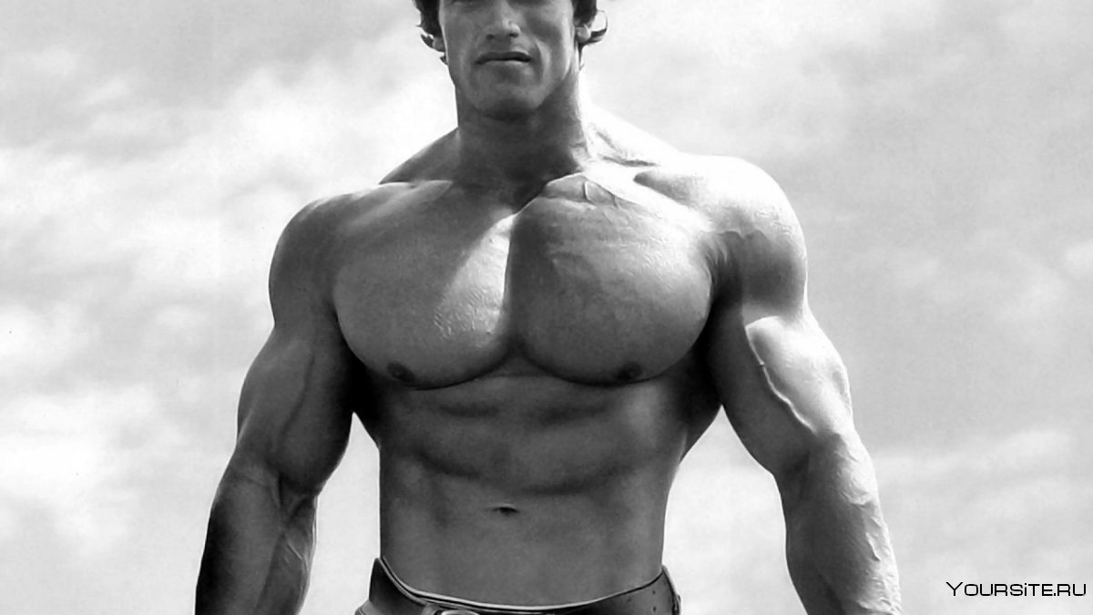 Арнольд Шварценеггер