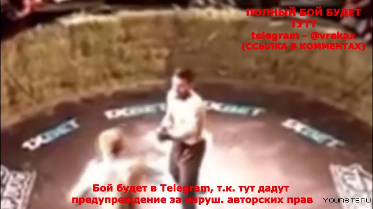 Чоршанбе боец ММА