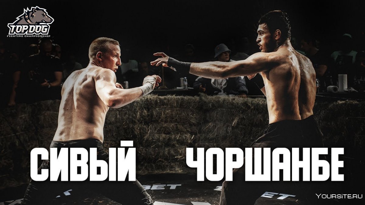 Чоршанбе Чоршанбиев Top Dog