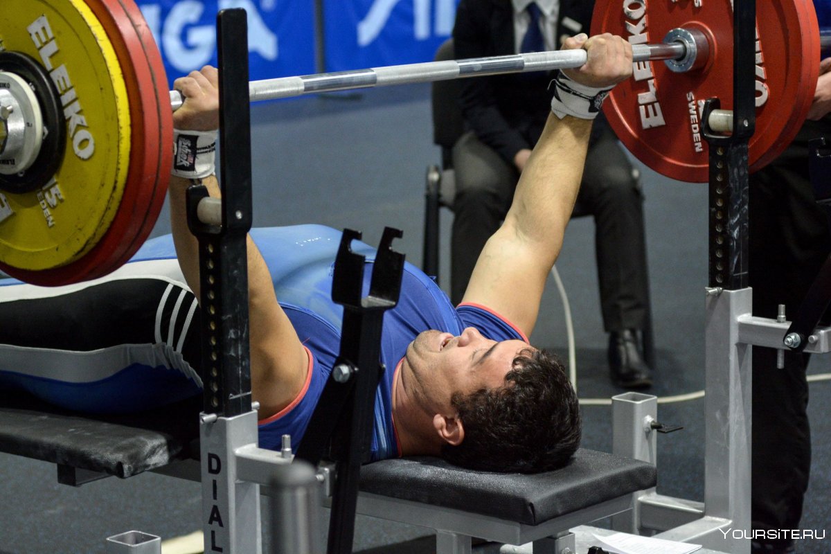 Кассандра Мартин жим лежа