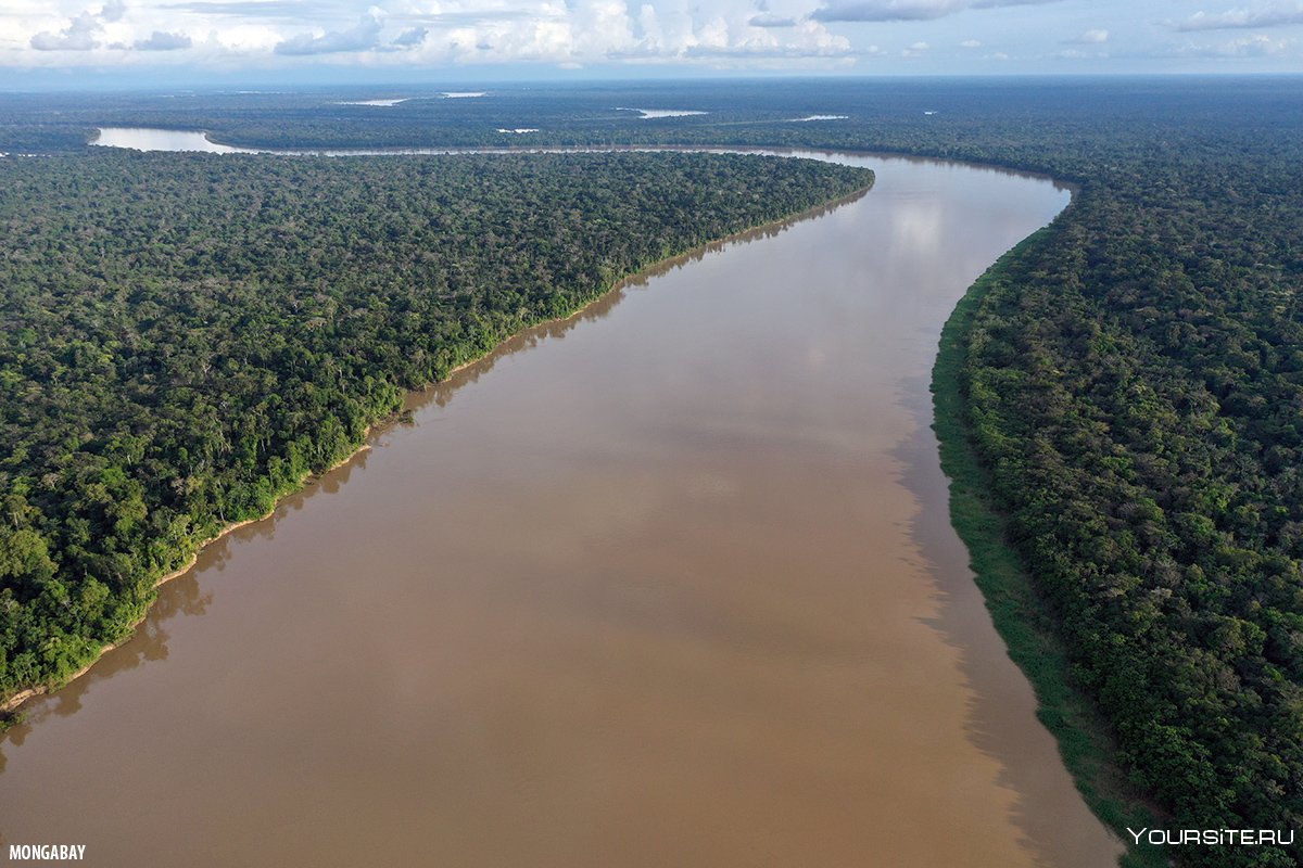 Реки Амазонка Нил Миссисипи
