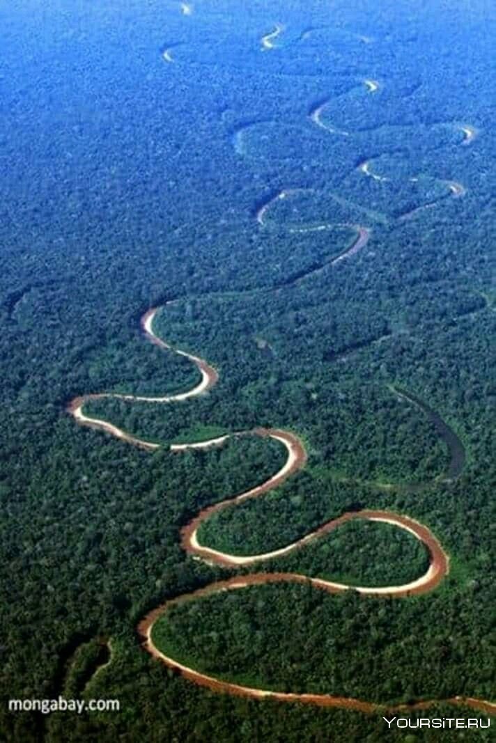 Самая длинная река в мире амазонка