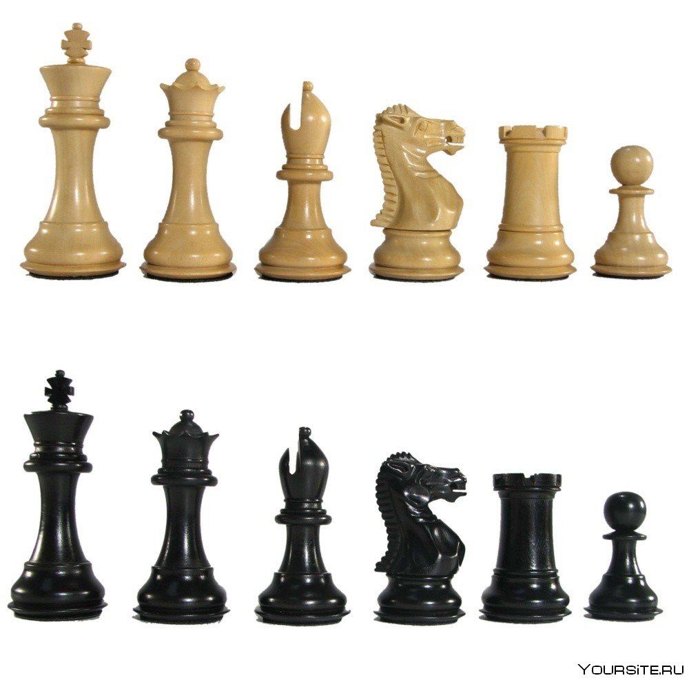 Шахматы название фигур с картинками
