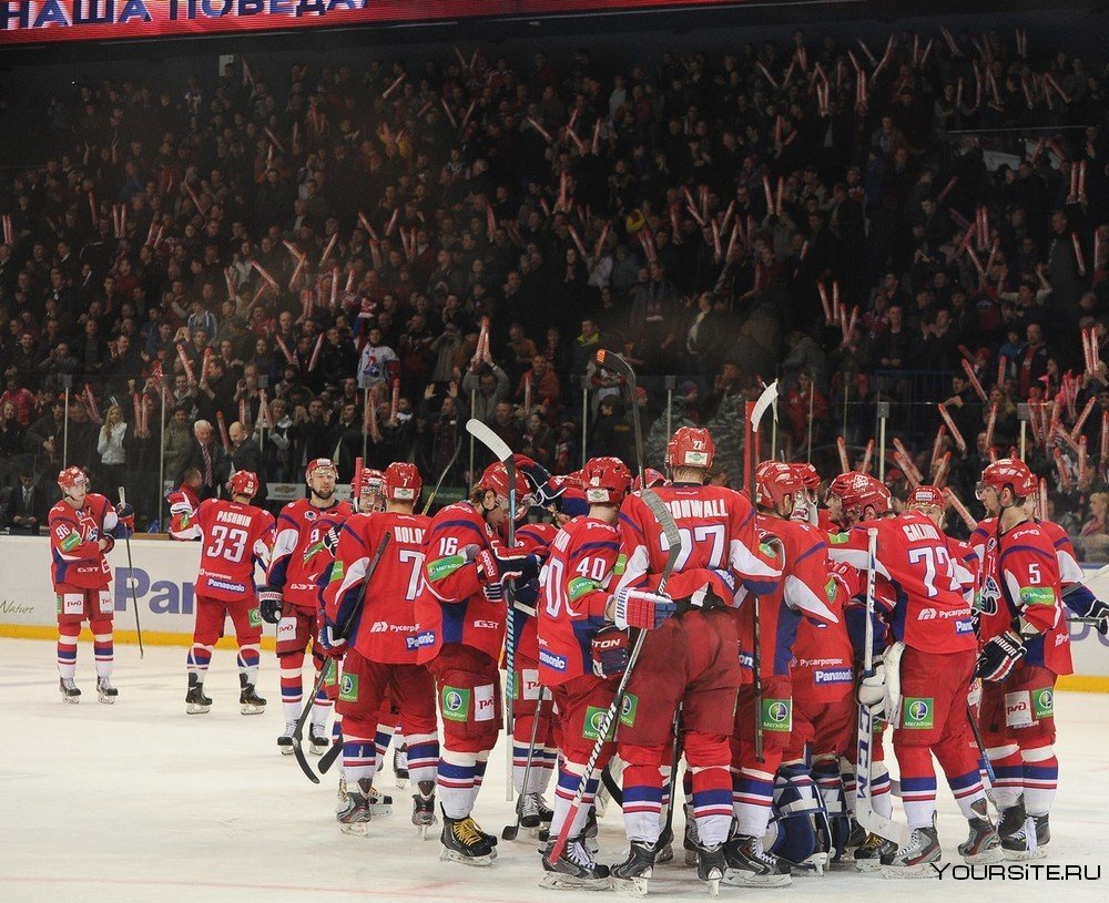 Локомотив Ярославль