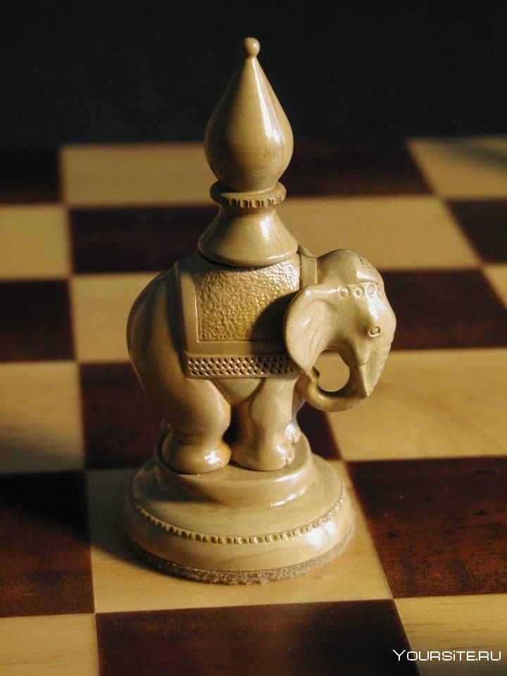 Слон и Ладья в шахматах