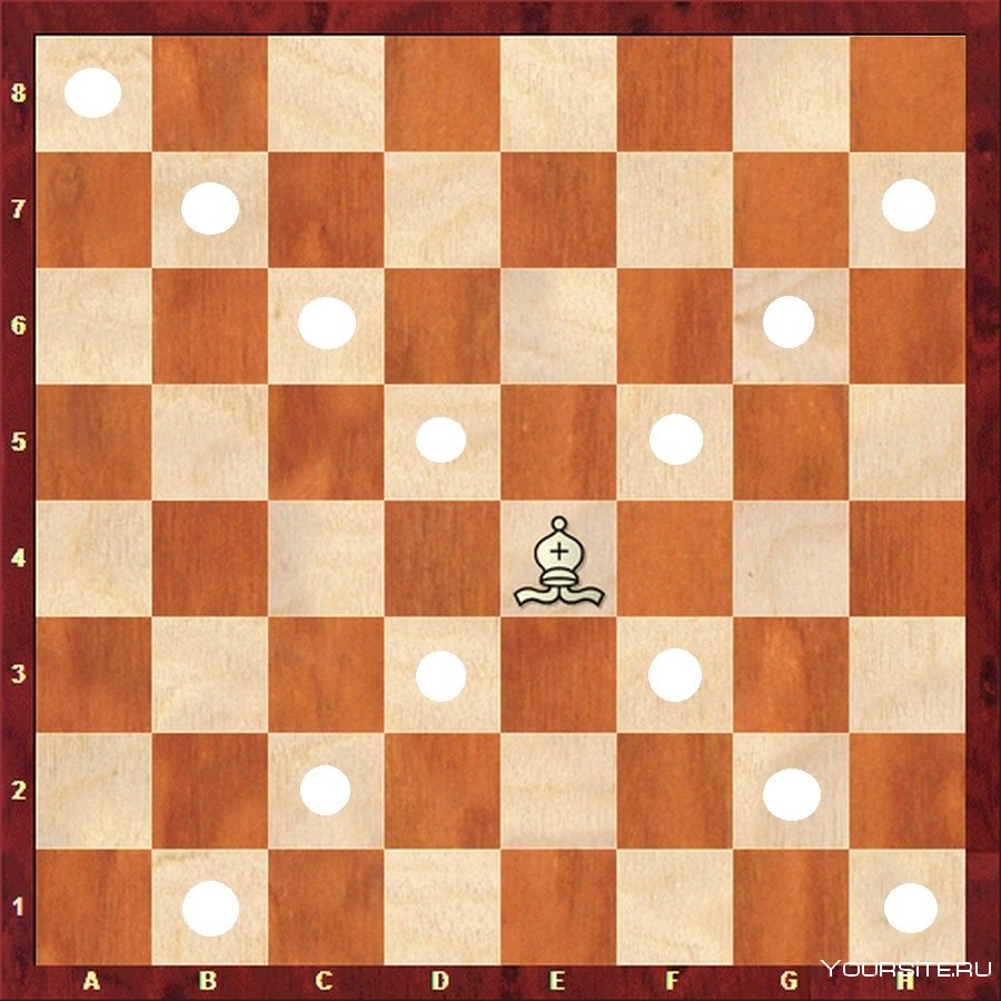 Белопольный слон в шахматах