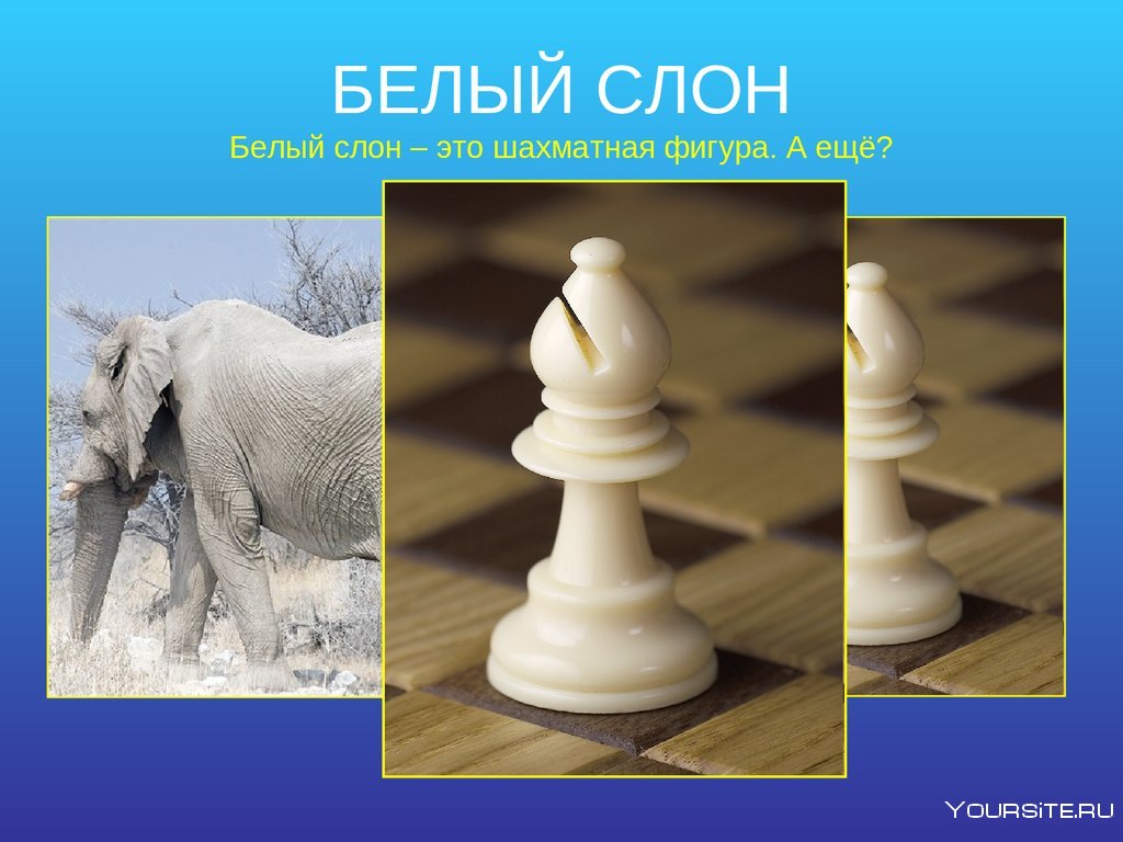 Белопольный слон в шахматах