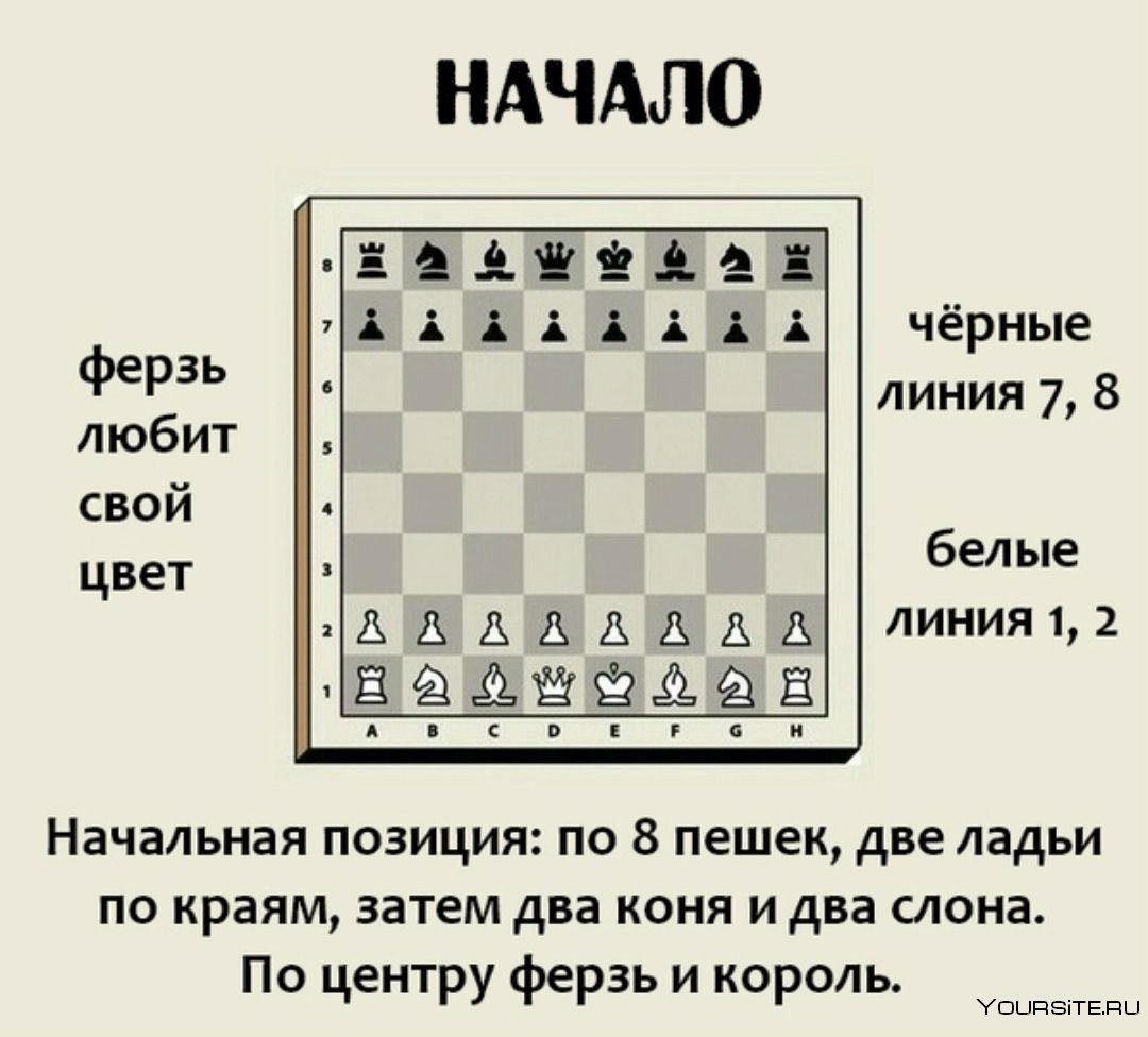 Шахматы 1.е2-е4 кф6
