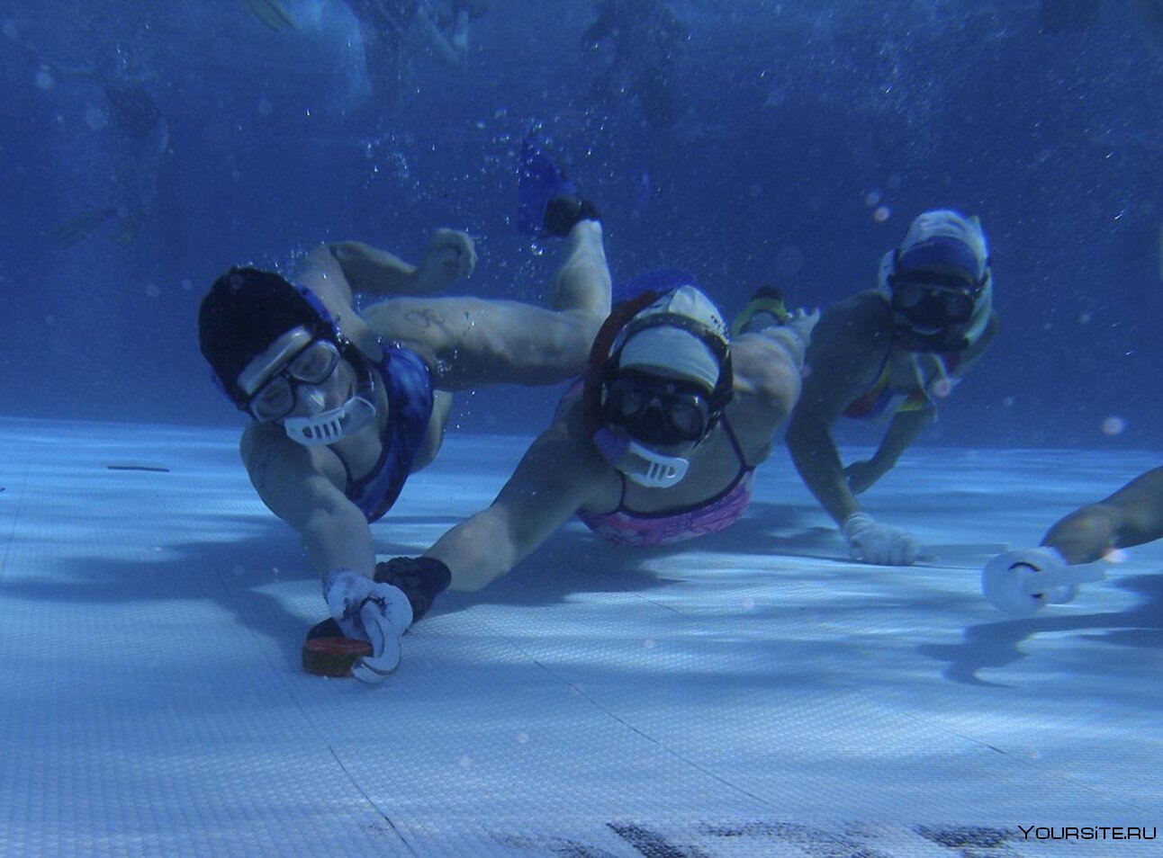 Хоккей купание. Подводный хоккей ворота. Подводный женский хоккей. Водный хоккей вид спорта.