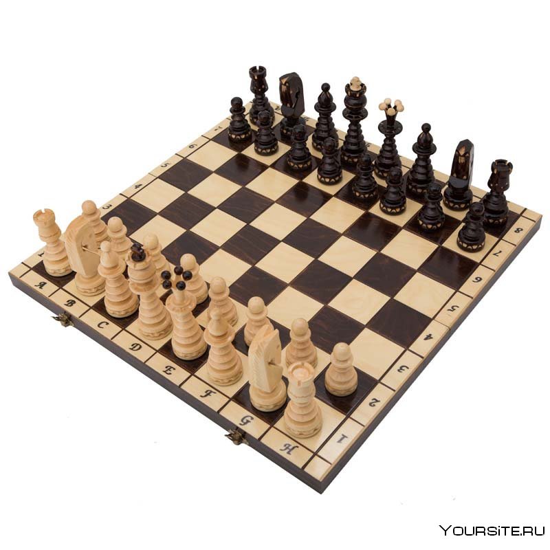 Музей шахмат шахматной Федерации