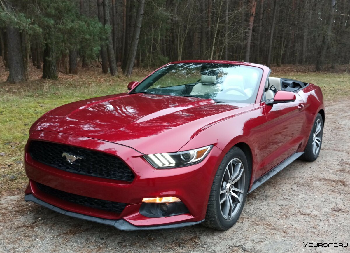 2015 Ford Mustang gt Convertible