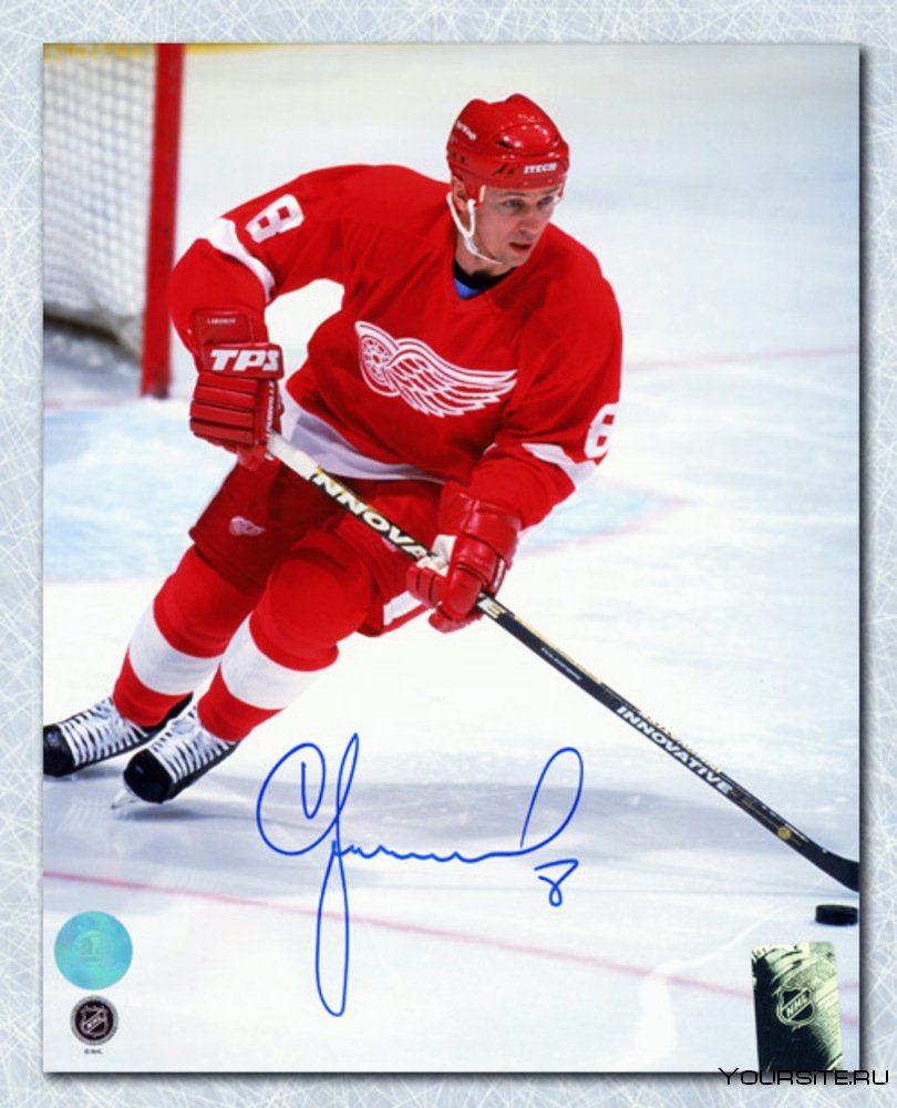 Игорь Ларионов в НХЛ