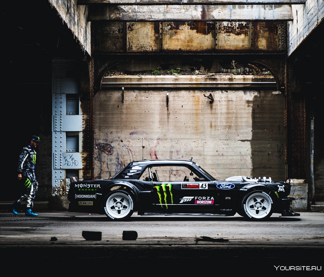 Ford Mustang gt HOONIGAN