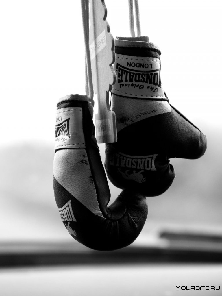 Боксерские перчатки на заставку