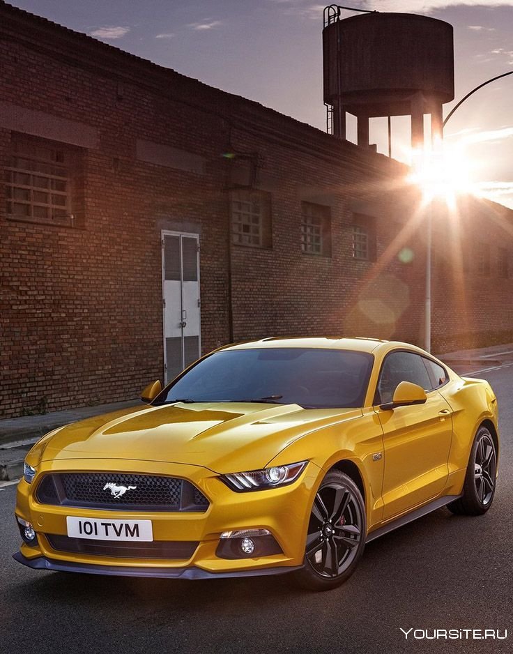 Ford Mustang gt сзади