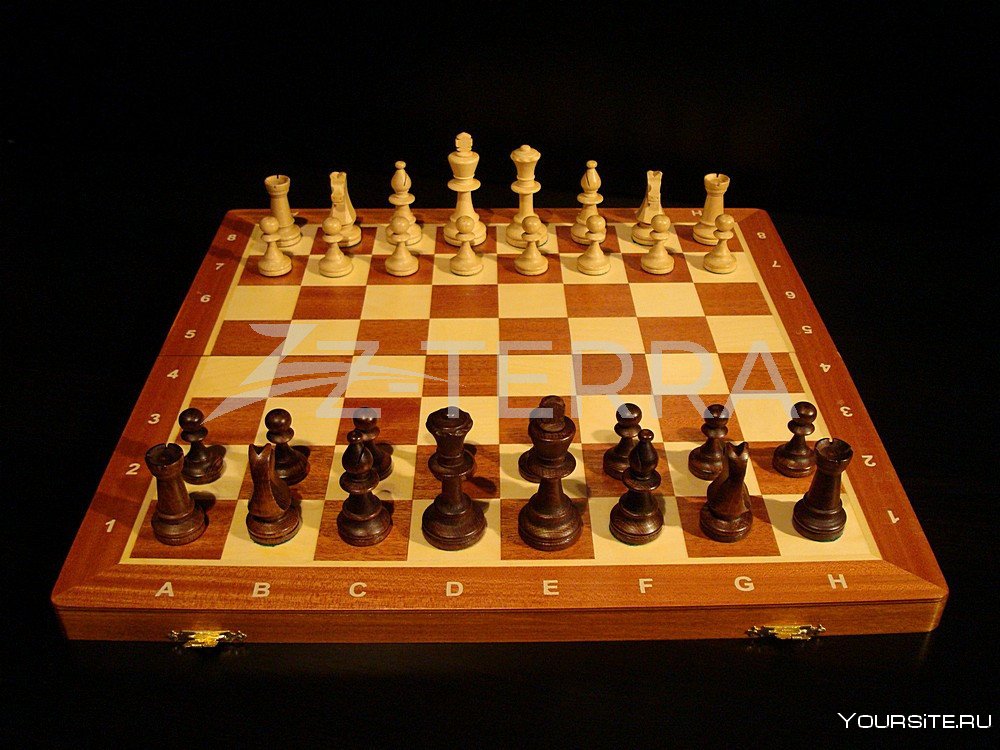 Набор фляжка с шахматами