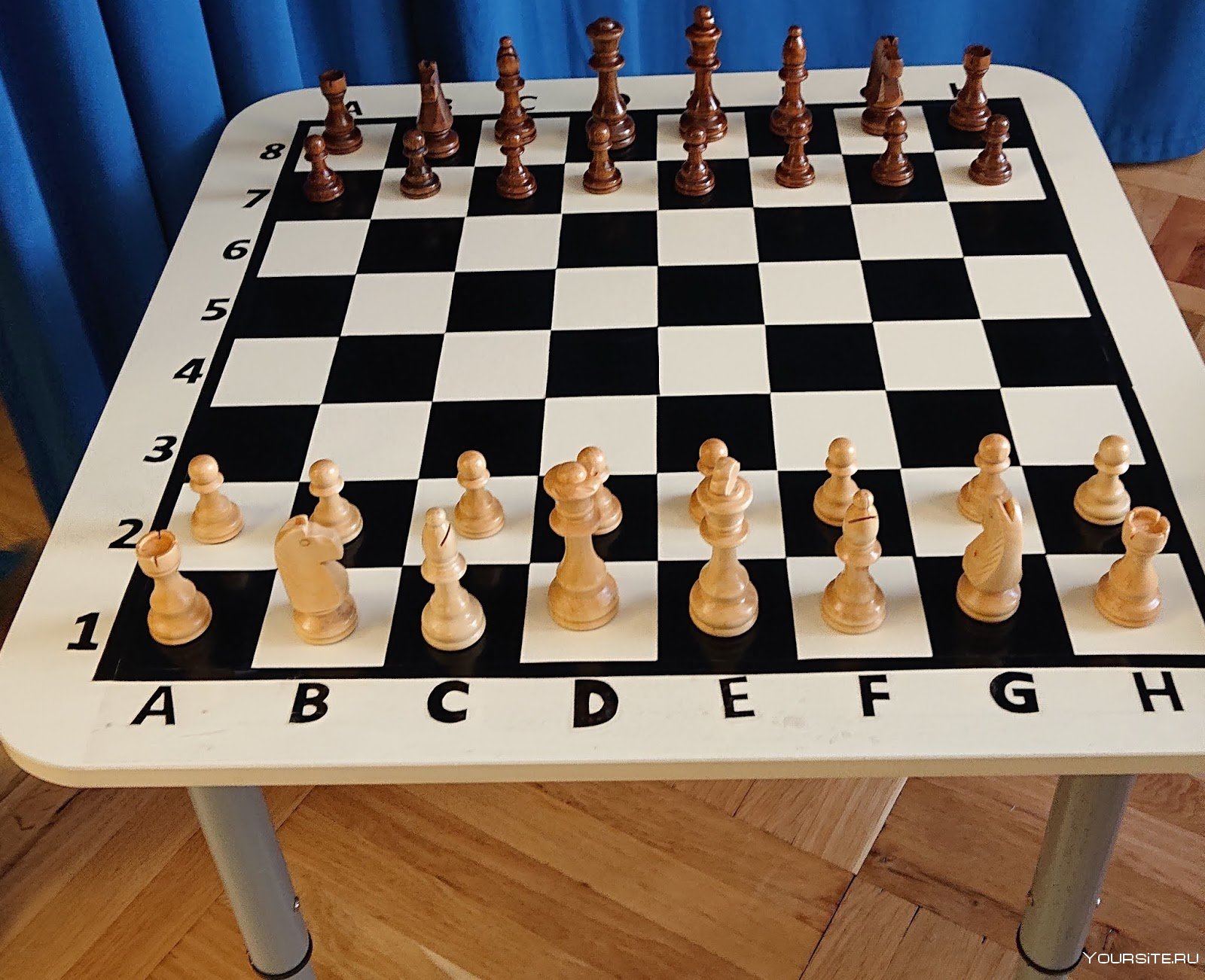 Шахматы 1 игрок. Самые первые шахматы. B1 шахматы. Шахматы 35. Пазл шахмат в 1 младшей группе.