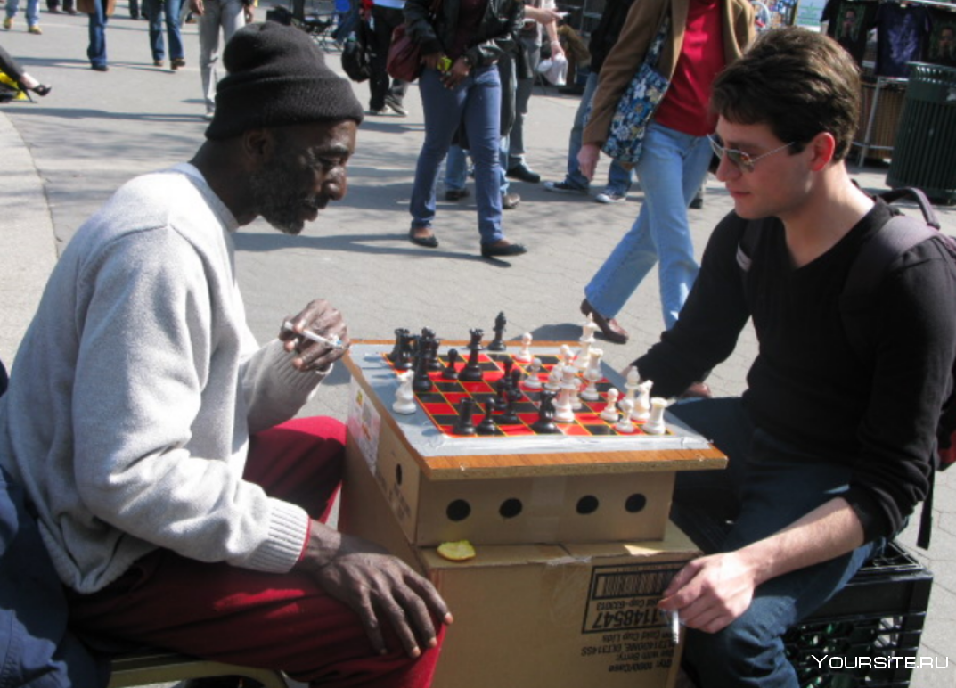 Шахматы игра расистов