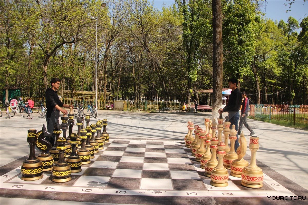 Ливадийский парк шахматы