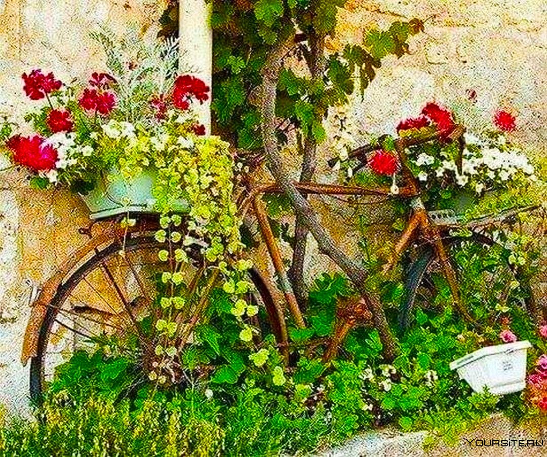 Старый велосипед в саду