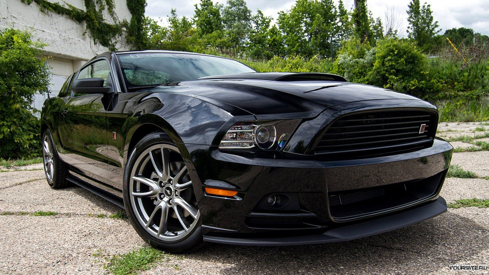 Американский мустанг. Форд Мустанг 2013. Ford Mustang черный тюнингованный.