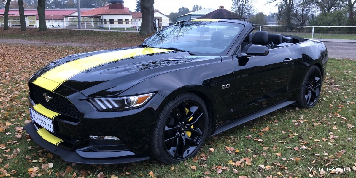 Ford Mustang Cabrio 2005