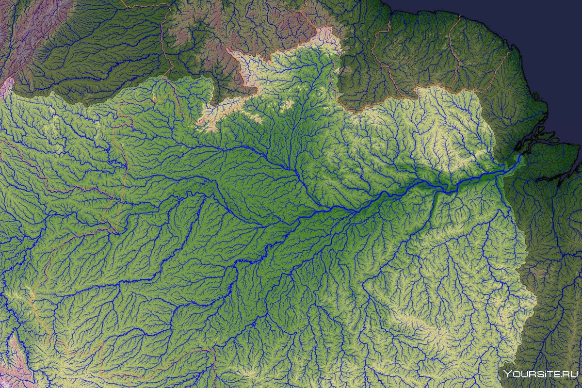 Водосборном бассейне реки амазонки