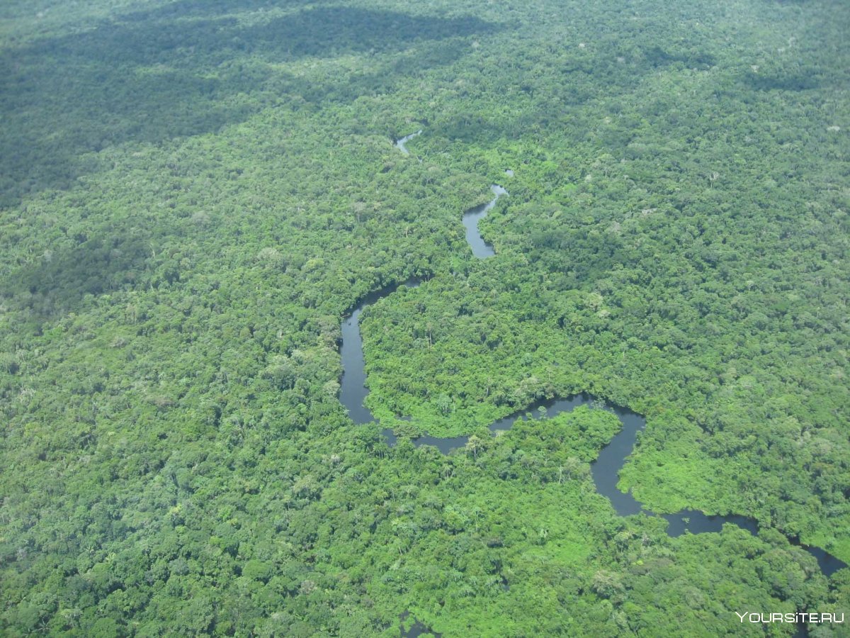Бассейн амазонки река КАРЕКУРУ