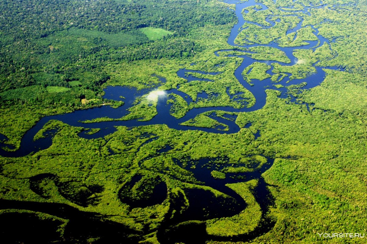 Река Амазонка Исток Южная Америка