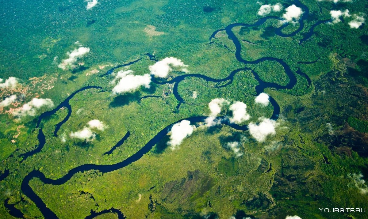 Тамбаки Амазонка