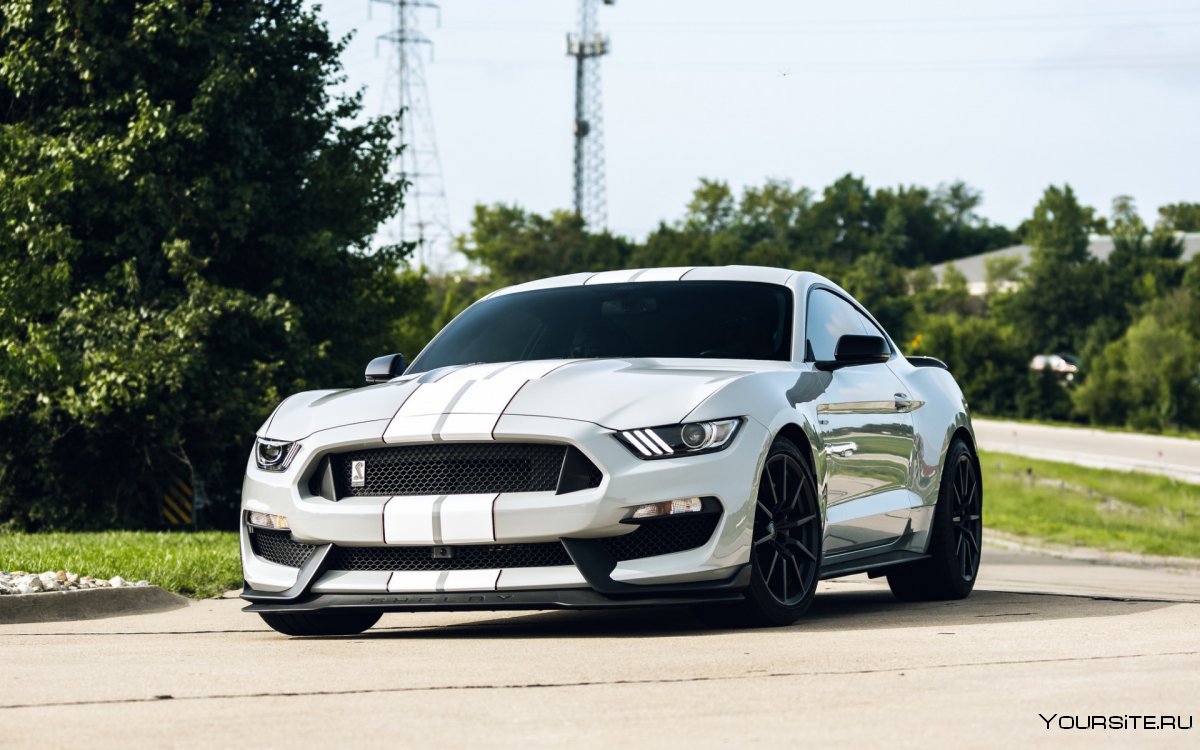 Mustang Shelby gt350 White