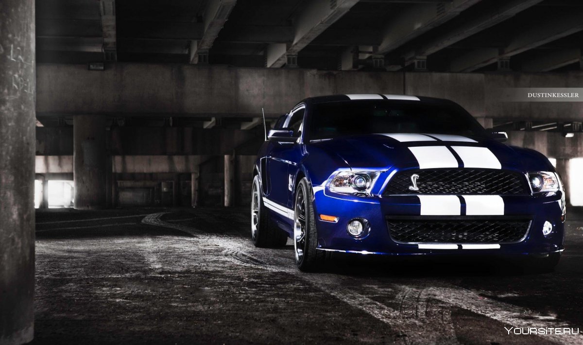 Ford Shelby gt500 ночь