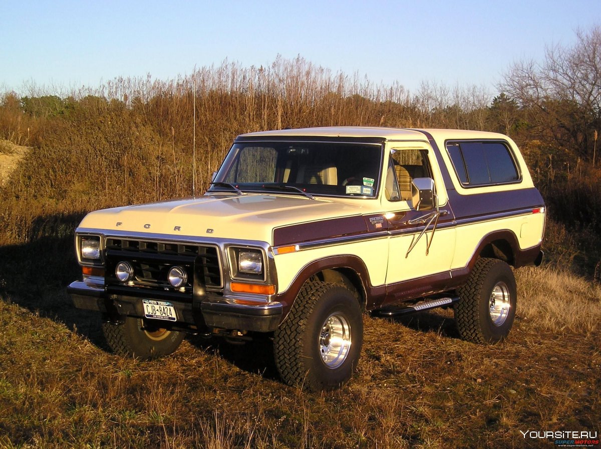 Ford Bronco Pickup 1979