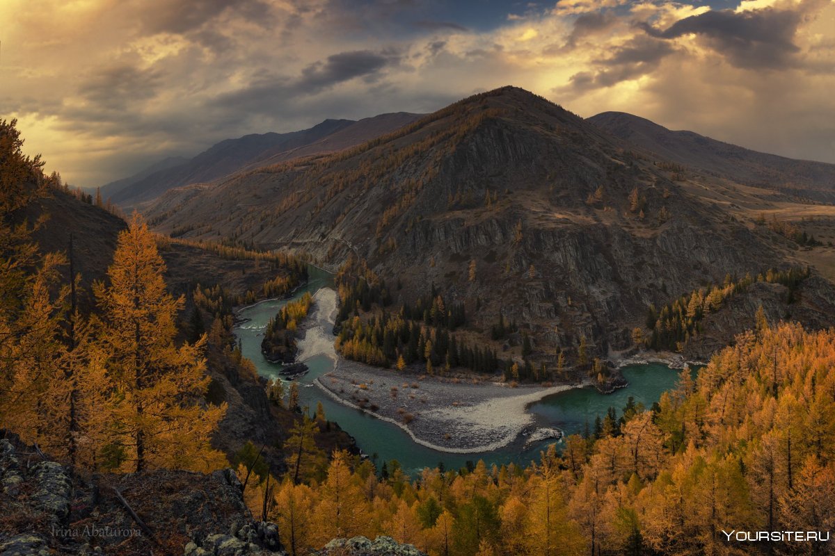 Река Аргут Республика Алтай