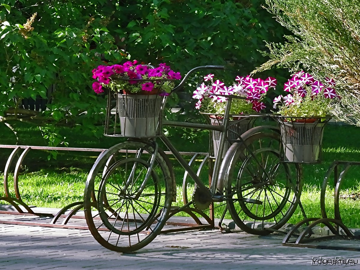 Велосипед как клумба в саду фото